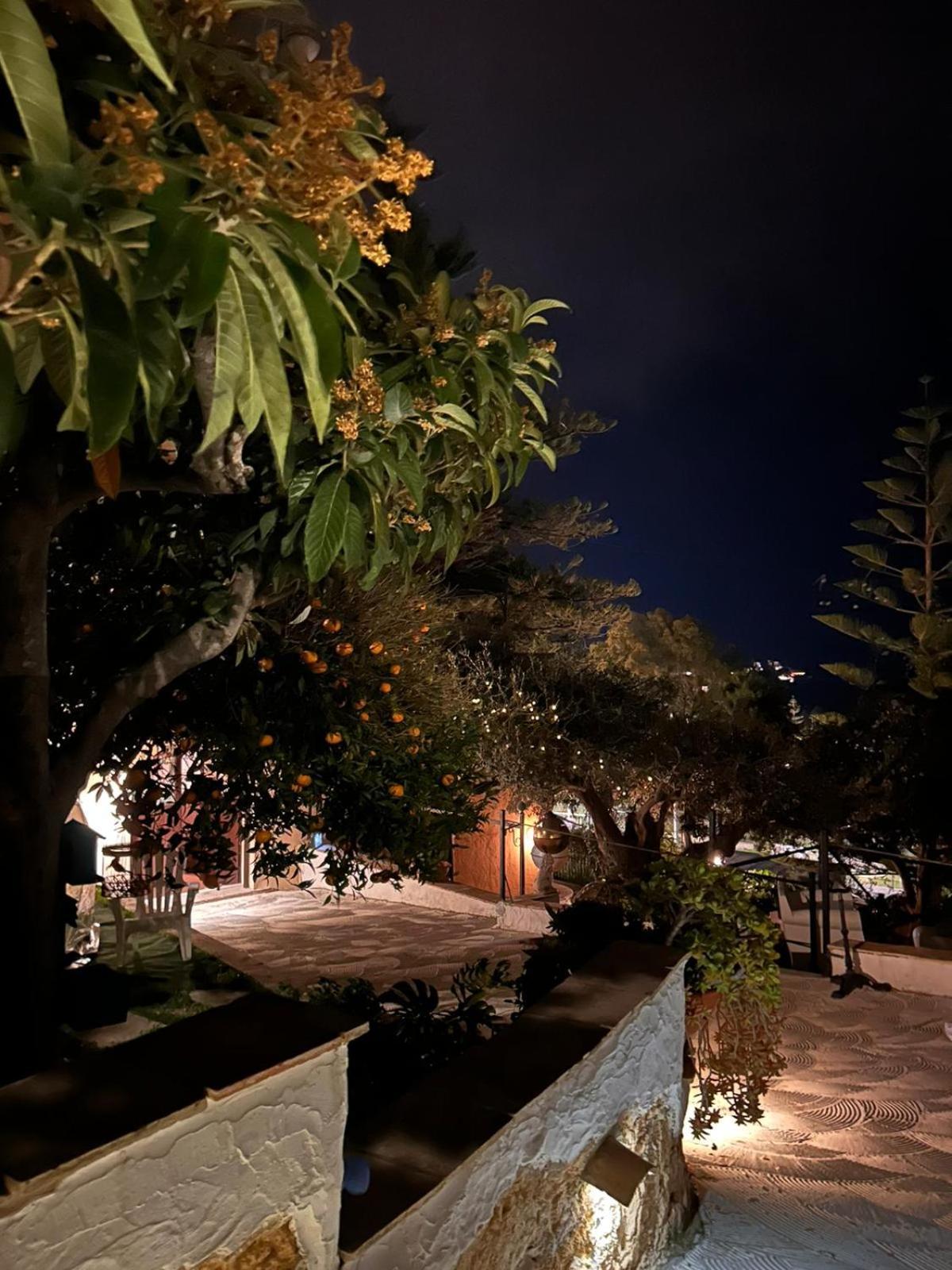 Relais Dei Mori Home Palermo กาสเตลดัชเชีย ภายนอก รูปภาพ