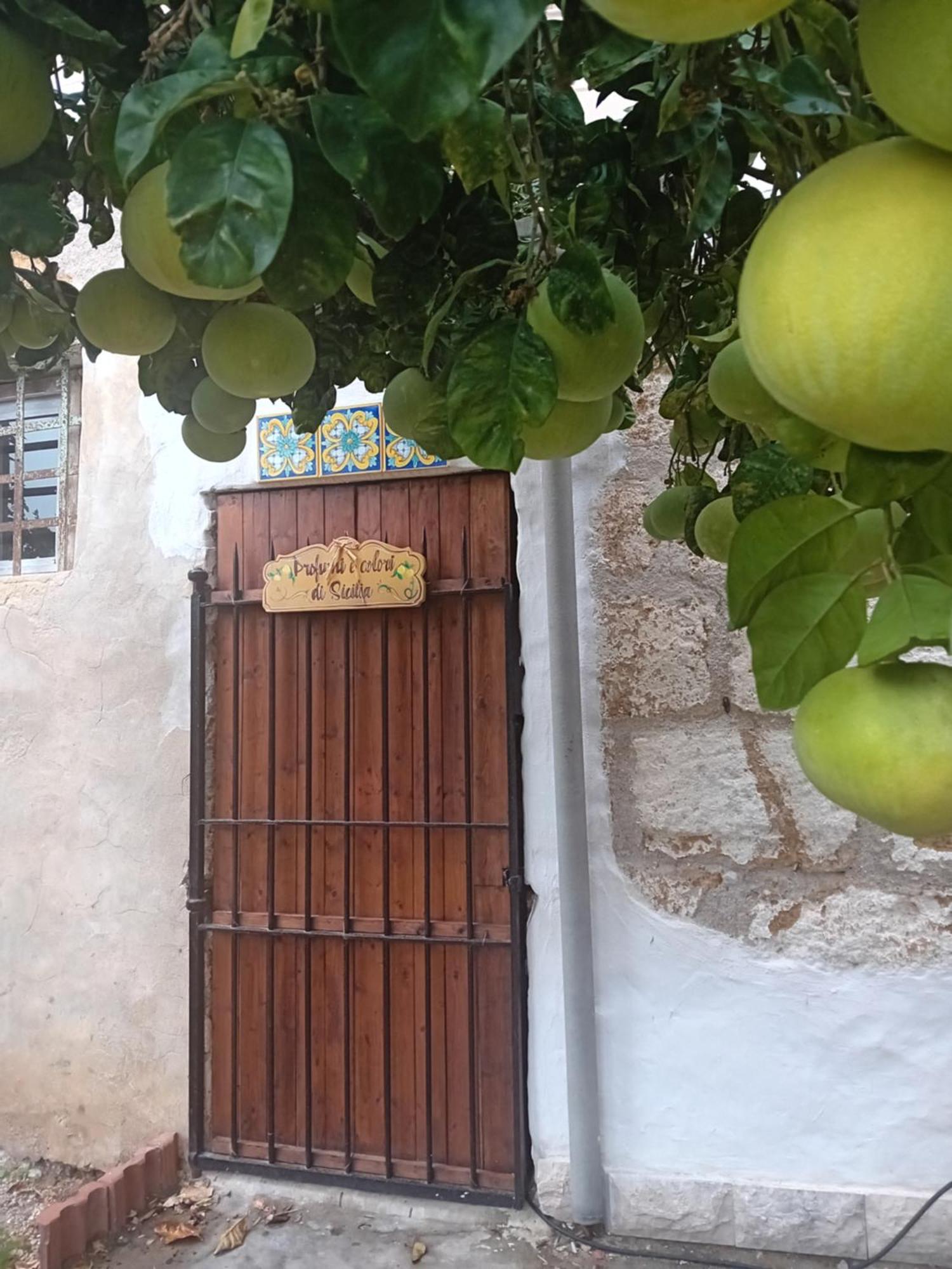 Relais Dei Mori Home Palermo กาสเตลดัชเชีย ภายนอก รูปภาพ