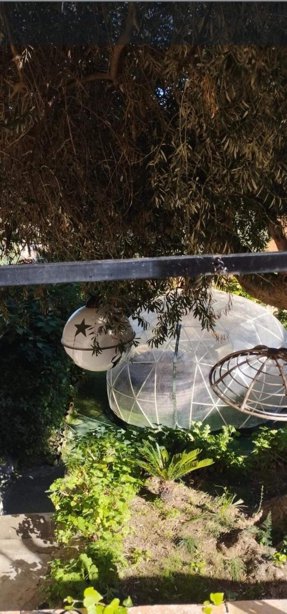Relais Dei Mori Home Palermo กาสเตลดัชเชีย ภายนอก รูปภาพ